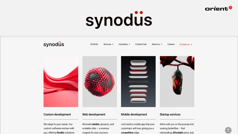 Synodus (Vietnam)